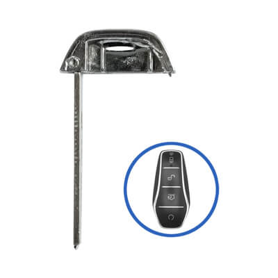 Byd Qin Plus, Atto3, Dolphin 2023+ Smart Key Blade, TOY2